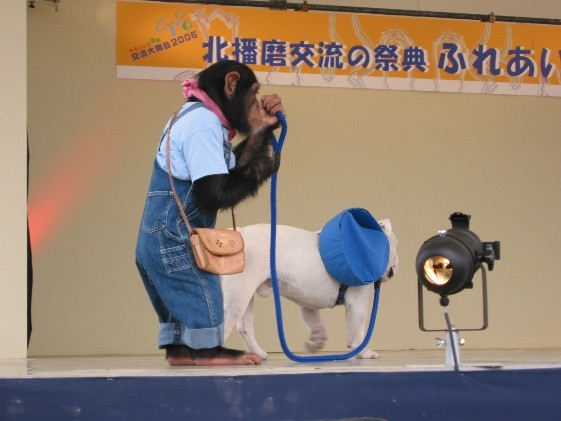 【北播磨 交流の祭典】